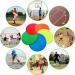 Kai Xin 9 Inch Anti-Slip Agility Spot Markers Set - 10 Pcs | Indoor Outdoor Sports Training & Drills | Multicolor - Buy Online on SooperMarket.com