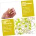 Alipis 100 Pcs Bean Sprouts Toy Small Plant Lifelike Bean Sprout Decoration for Home Faux Plants Delicate Bean Sprout Food Decor Wedding Decor Fruit Toys Pvc Artificial Household Products - Buy Online on SooperMarket.com