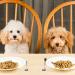 4-Piece Stainless Steel Pet Can Spoons Set - White and Black | Dog and Cat Food Spoons - Buy Online on SooperMarket.com