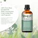 PHATOIL Eucalyptus Essential Oil 30ML - Premium Grade Pure Oil for Diffusers, Aromatherapy, and Candle Making - Buy Online on SooperMarket.com