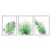 Stupell Industries Green Leaves Modern Tropical Palm Fans White Framed Wall Art White Framed Green
