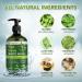 Antifungal Body Wash | Tea Tree Oil Soap for Jock Itch Acne Ringworm & More - 500ml | Natural & Effective - Buy Online on SooperMarket.com