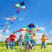 JTKREW Flying Kite with 100m Line & Winding Board - Durable Outdoor Sports Kite for Kids & Adults - Buy Online on SooperMarket.com