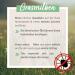 Aniforte Grasmilbel Ex Spray 500ml - Effective Grass Mite & Parasite Defense for Dogs | Soothes Itchy Skin - Buy Online on SooperMarket.com