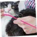 ORFOFE Set 8 of Care Random Headed Safe Dual Breeds All Durable Finger Dog and Cat Color - Buy Online on SooperMarket.com