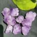 Natural Amethyst Raw Quartz Small ClusterReiki Stone Crystal Point Specimen Home Decor Raw Crystals NaturalReiki Decoration (Color : 1pc Weight 3-8g Size : 200g) 200g 1pc Weight 3-8g - Buy Online on SooperMarket.com