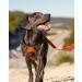 Joytale Large Dog Harness - Reflective Soft Padded Adjustable & Breathable with Control Handle - Ideal for Large Dogs Orange (1 Pack) - Buy Online on SooperMarket.com