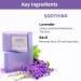 Nykaa Naturals Bathing Soap - Anti-Aging Lavender & Oil-Control Basil Bar Soap - Perfect Skin Cleanser - 3.5 oz - International Shipping Available - Buy Online on SooperMarket.com