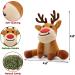 Festive Christmas Catnip Toys for Cats - Bite Resistant & Catnip Filled Teething Toy - Buy Online on SooperMarket.com