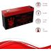 Neptune NT613 6V 1.3Ah Replacement SLA Battery for PE6V1.2F1 - Reliable Emergency Lighting Solution | International Shipping - Buy Online on SooperMarket.com