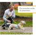 Ruffwear Hi & Light Dog Harness - No Pull Fully Adjustable Lightweight Harness for Small Medium Large & X-Large Dogs - Sage Green (L/XL 81-107cm) - International Shipping Available - Buy Online on SooperMarket.com