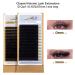 LASHVIEW Eyelash Extension Kit with Mannequin Head - Professional Training Kit for Beginners - Buy Online on SooperMarket.com