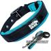 Black Rhino Comfort Collar | Super Soft Neoprene Dog Collar for All Breeds | Adjustable Reflective & Weatherproof - Large (Sports Blue/Gray) - Buy Online on SooperMarket.com