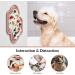 Ohmo Lick Mat for Dogs & Cats - 2 Pack Cute Cactus Design | Leak Mat for Puppy & Pet Fear Relief | Food-Grade Silicone (Coral & Cherry Red) - Buy Online on SooperMarket.com