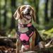 Joytale Reflective Dog Collar for Small Dogs - Pink S | Safe & Stylish | International Shipping - Buy Online on SooperMarket.com