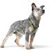 HUNTER Harness Maldon 47-69/SM Lime/Grey - Premium Pet Harness for Ultimate Comfort & Style | International Shipping Available - Buy Online on SooperMarket.com