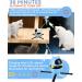PETTOM Interactive Cat Toy 3-in-1 Automatic - 2023 Upgrade with Rotating Feather Tracks Ball - USB Rechargeable Kitten Toy for Indoor Cats - Blue - Buy Online on SooperMarket.com