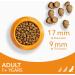 IAMS Complete Dry Dog Food for Adult 1+ Large Breeds with Chicken 12 kg 12 kg (Pack of 1) - Buy Online on SooperMarket.com