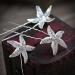 6pcs U Shape Starfish Hair Pins | Elegant Wedding Party Accessory - International Shipping - Buy Online on SooperMarket.com