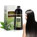Nmbol Shampoo Hair Dye WL 1