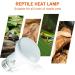 REPTI HOME Reptile Heat Lamp 2 Pack 50W Reptile Heat Lamp Bulbs Amphibian Terrarium Basking Spot Lamp for Reptile Bearded Dragon Lizard Turtle Snake - Buy Online on SooperMarket.com