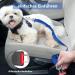 Oyefly Universal Dog Seat Belt Elastic Safety Belt for Dogs & Cats | Strong Carabiners | Fits All Car Types (Blue) - Buy Online on SooperMarket.com
