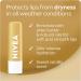 NIVEA Vanilla Buttercream Lip Balm | Made with Jojoba Oil & Shea Butter | Keeps lips moisturized for 24H | 2 x 4.8g tubes - Buy Online on SooperMarket.com