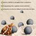 Sungrow 10 Hermit Crab & Crayfish Calcium Supplement Balls - 30+ Minerals for Molting Pets - Buy Online on SooperMarket.com