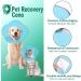 Adjustable Supet Dog Cone Collar for Large and Small Dogs - Blue XXXL - Buy Online on SooperMarket.com