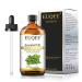 EUQEE Marjoram Essential Oil 118ml Pure Natural Marjoram Oils Aromatherapy Essential Oil Essential Oils for Diffusers for Home Humidifier Relax Marjoram 118.00 ml (Pack of 1)