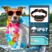 Dog Training Collar with Remote Sound & Vibration Training Modes USB Rechargeable IP67 Waterproof 1000FT Remote Range Remote Anti Bark Collar for Small Medium Large Dogs Orange - Buy Online on SooperMarket.com