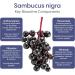 HydraLyte Plus Immunity - Electrolytes + Vitamin C Powder + Elderberry (Sambucus Nigra 35:1 Concentrated Black Elderberry Powder) + Zinc - Daily Hydration Powder With Immune Support for Ages 19+ - Buy Online on SooperMarket.com