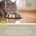 Emma Cat Vitamins 100ml | High Dose B Complex & Essential Nutrients for Immune Support | Vitamins A B12 D E Iron Zinc Selenium & L-Lysine - Buy Online on SooperMarket.com