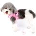 Ranphy Cat Dishes & Adjustable Dog Harness - Reflective No Pull Soft Mesh Comfortable Fit for Small Dogs - Pink - Buy Online on SooperMarket.com