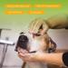 Nobleza Puppy Shampoo - Mild Almond & Honey - Itch Relief for Short-Haired Dogs (250ml) | Ideal for French Bulldogs & Pugs - Buy Online on SooperMarket.com