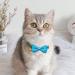 JpGdn 10pcs Small Dogs Collar Attachment Bows Ties for Puppies Cats Birthday Party Adjustable Bowties Sliding Bows Neckties Grooming Accessories Costumes Wedding 10pcs dog collar - Buy Online on SooperMarket.com