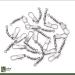 Zite Fishing Triple Swivel Set - 15 Pieces 3 Sizes for Trout & Sbirolino - Essential Fishing Accessories - Buy Online on SooperMarket.com
