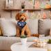 WLLHYF Dog Birthday Party Supplies Boy Dog Birthday Bandana Set with Cute Dog Bow Tie Dog Birthday Crown Hat with Numbers Small Medium Large Dogs(Blue) - Buy Online on SooperMarket.com