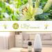 Lily Essential Oil 10ml - 100% Pure & Organic Fragrance Oil for Aromatherapy, Diffuser, Candle & Soap Making - Brown Bottle - Pack of 1 - Buy Online on SooperMarket.com