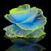 Duozoance artificial coral bright aquatic plants plant - aquarium glowing decoration made of silicone glow in the dark for landscape decoration flowers ornaments blue 7.5x5x9cm