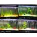 COODIA Internal Green Water Killer Filter for Aquarium Tank - U-V Pump - Buy Online on SooperMarket.com