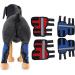 EVTSCAN 1 Pair Supportive Dog Leg Braces Reflective Designed Dog Front Leg Protector for Injury/Sprains/Instability/Anthritis(L-red) L Red - Buy Online on SooperMarket.com