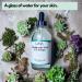 Buy Hyaluronic Acid Serum - Anti-Aging Hydrating Face Serum for Wrinkle Reduction - Buy Online on SooperMarket.com