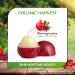  Moisturizing Pomegranate Lip Balm | Organic Lip Care for Dry & Chapped Lips | Paraben & Sulphate Free - 8 gm  - Buy Online on SooperMarket.com