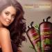 Mystere Beaute Rosemary Shampoo and Conditioner Set - Promotes Hair Growth & Scalp Health - Volumizing Formula - Sulfate & Paraben Free - 16 fl oz each - Buy Online on SooperMarket.com