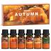 ARVIDSSON Fall Essential Oils Set Autumn Fragrance Oil for Diffusers Candle Making Pumpkin Spice Cinnamon Spiced Cider Autumn Wreath Pine Snickerdoodle Fall Scented Oils for Home