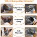 Adjustable Breathable Mesh Dog Muzzle - Grey S | Comfortable & Secure Muzzle for Dogs - Buy Online on SooperMarket.com