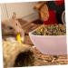 KICHOUSE 2pcs Hamster Food Plate Hamster Cage Accessories Bunny Food Hawaiian Food Hamster Bath Bowl Ceramic Rat Bowl Pet Bowl Small Cat Bowl Hamster Supplies Food Bowl for Cats Ceramics medium Pink - Buy Online on SooperMarket.com