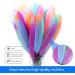 FeelfunFeather 240pcs Macaron Goose Cochettes Feathers 4-6 inch Bulk Natural - Wedding Party Halloween DIY Crafts - Buy Online on SooperMarket.com