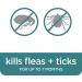 Sergeant's Guardian Flea & Tick Cat Collar - 1 Count | Long-lasting Protection - Buy Online on SooperMarket.com